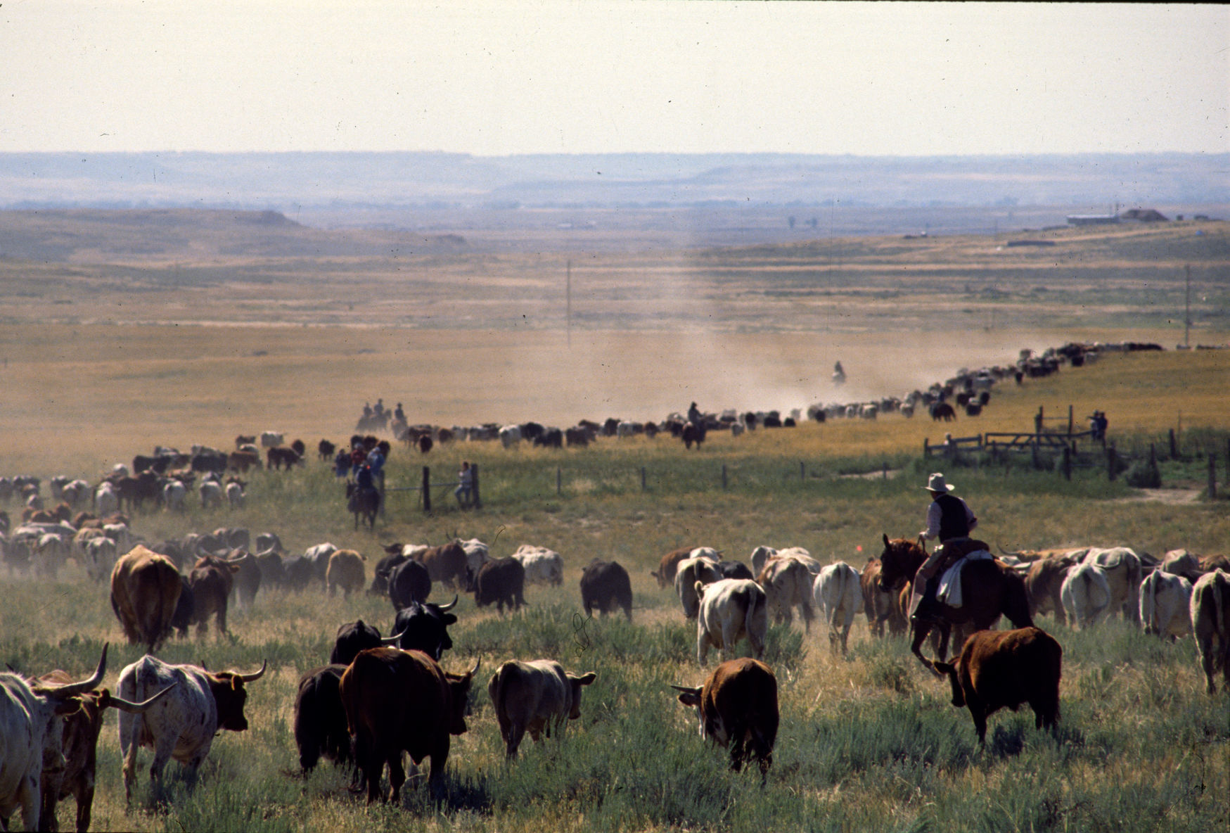 Great Montana Centennial Cattle Drive